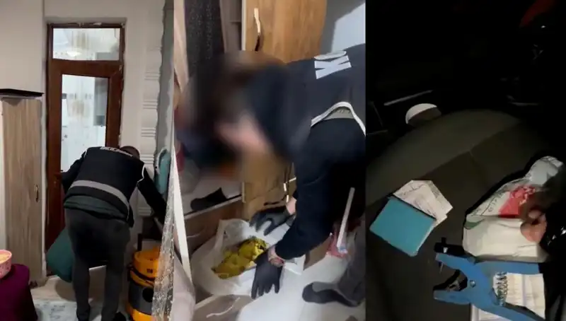 Hayvan Sevk Belgesi Usulsüzlüğünde Büyük Operasyon: Dokuz Kişi Gözaltında