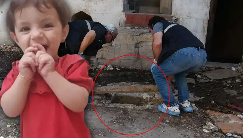 Cesedi Kuyuda Bulunan Aric'in Gizemli Ölümünün Arkasındaki Sır Ne?