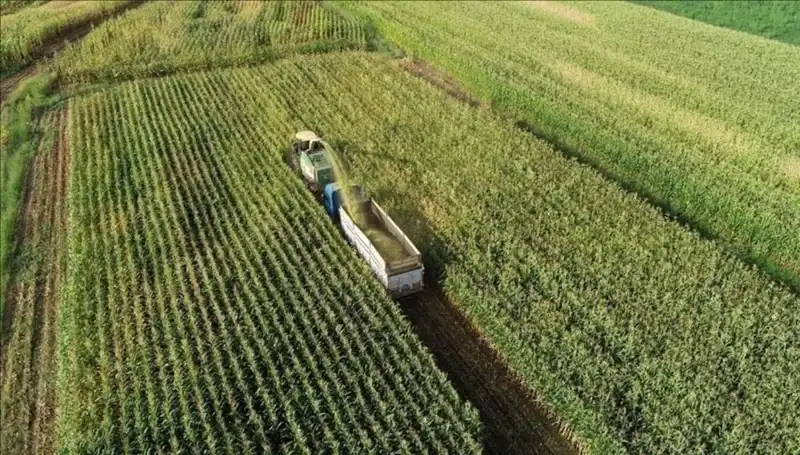 2025 Mart Ayı: Mazot ve Gübre Desteği Ödemeleri Hakkında Son Gelişmeler