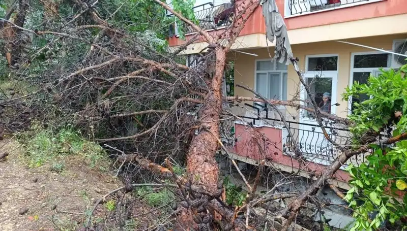 Yağmurun Gücüne Dayanamadı: Bina Yıkıldı, Merak İçerikleriyle Dolu!