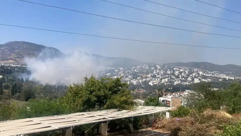 Muğla Orman Yangınları Kontrol Altına Alındı: Ekiplerden Umut Veren Gelişmeler